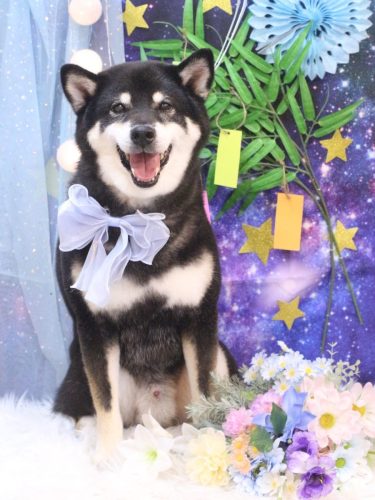 20250705ジローくん